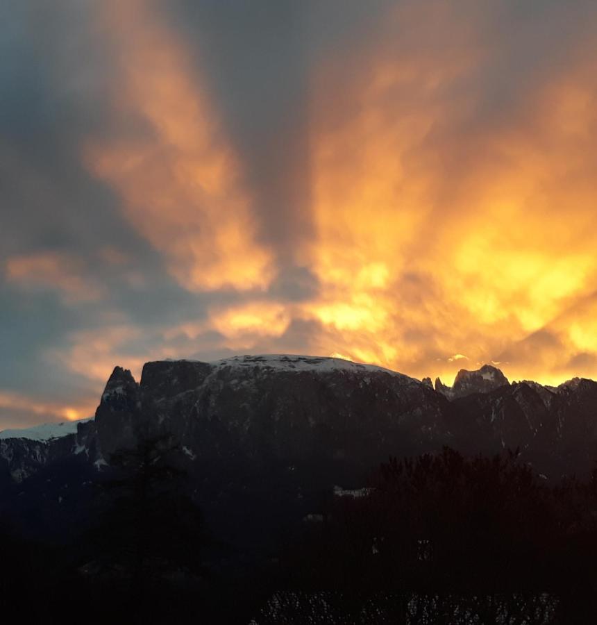 Oberpfaffstallerhof Collalbo Buitenkant foto