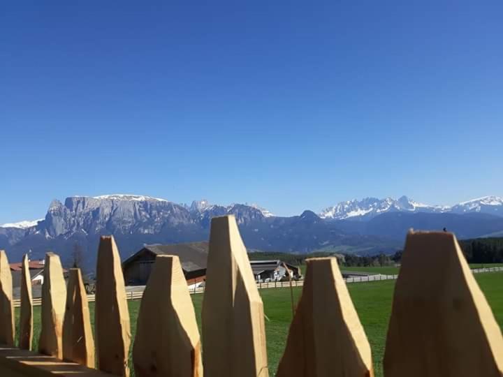 Oberpfaffstallerhof Collalbo Buitenkant foto