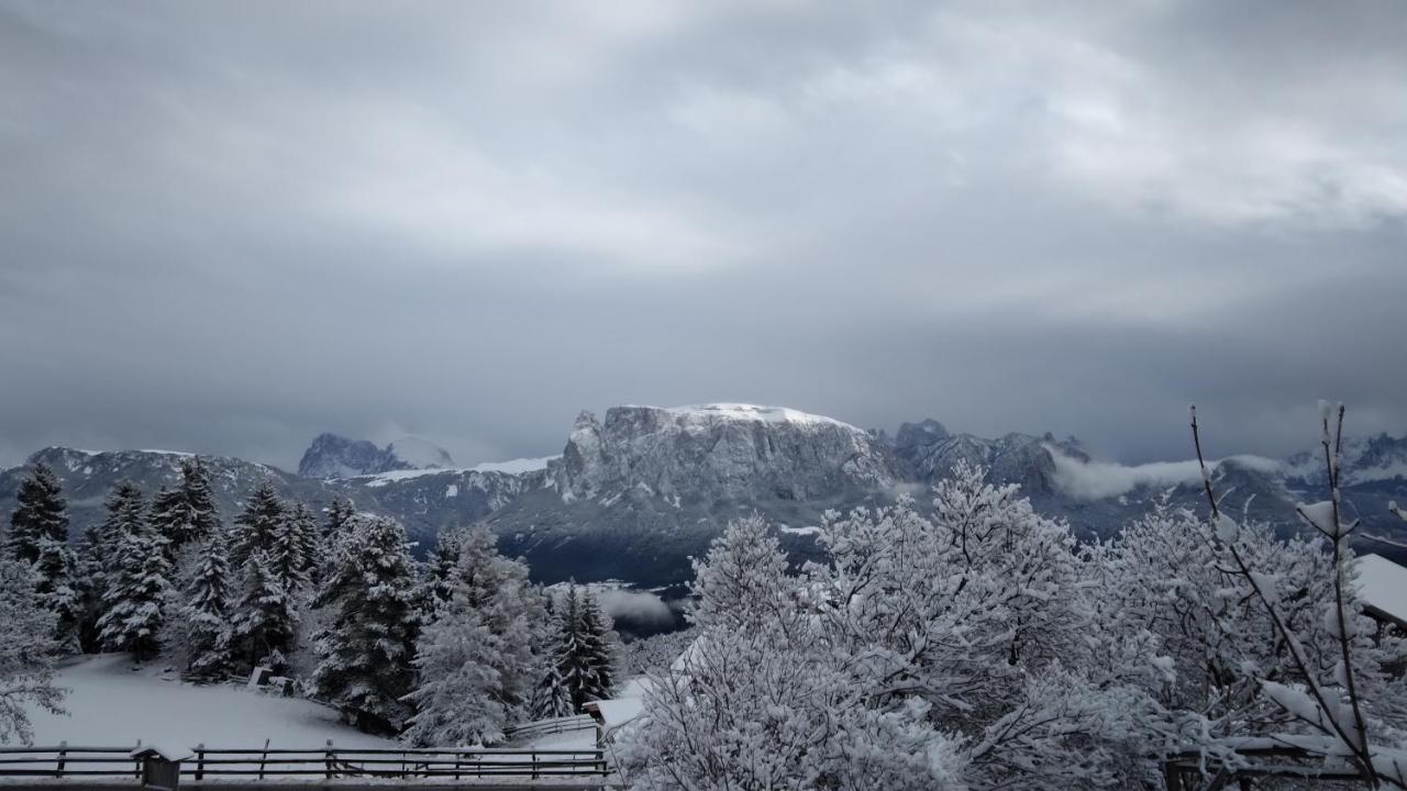 Oberpfaffstallerhof Collalbo Buitenkant foto